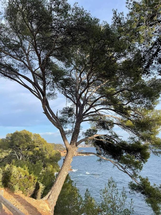 Villa Cocody Bandol Exterior foto